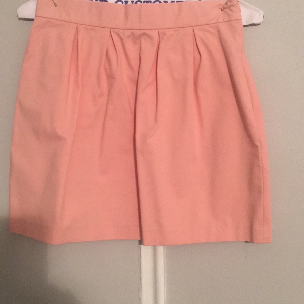 Zara Trafaluc skirt
